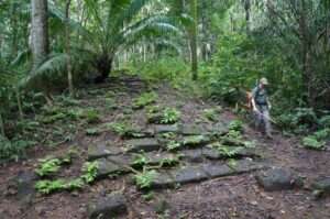 Parque Nacional Camino de Cruces
